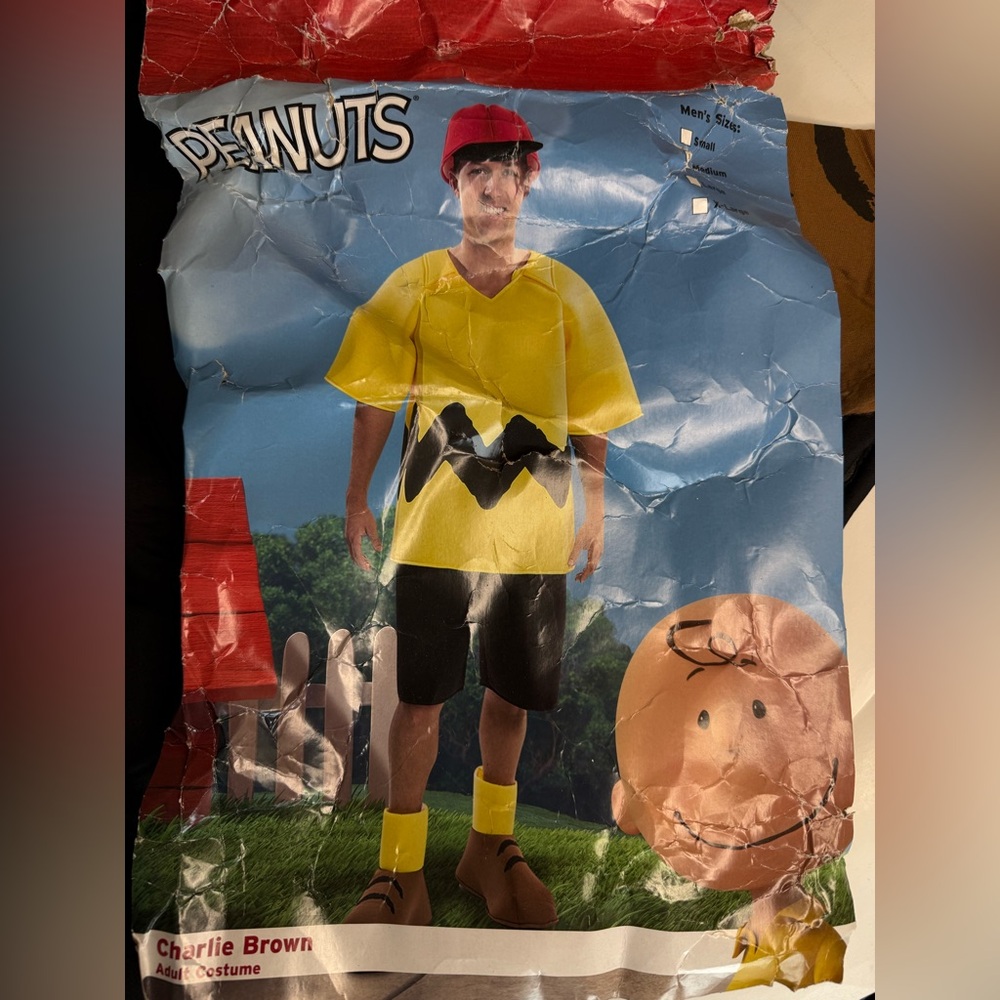Peanuts Charlie Brown Costume, men’s medium